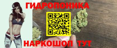 прущие крисы Рыбинск