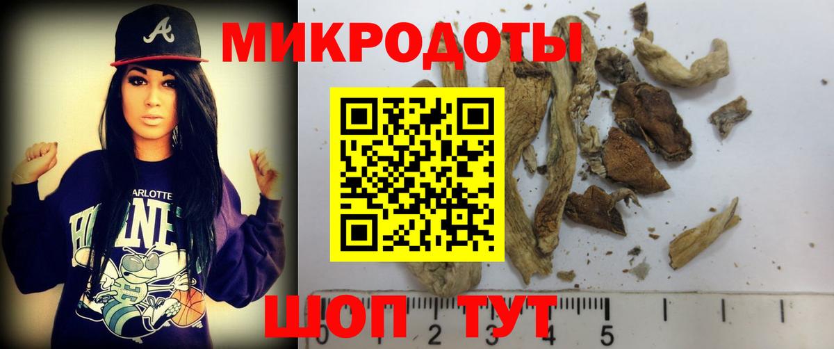 как найти закладки  Галлюциногенные грибы мицелий  Вход с VPN  Обнинск  Псилоцибиновые грибы мицелий 